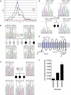 Rare Opportunities for Insights Into Serotonergic Contributions to Brain and Bowel Disorders: Studies of the SERT Ala56 Mouse